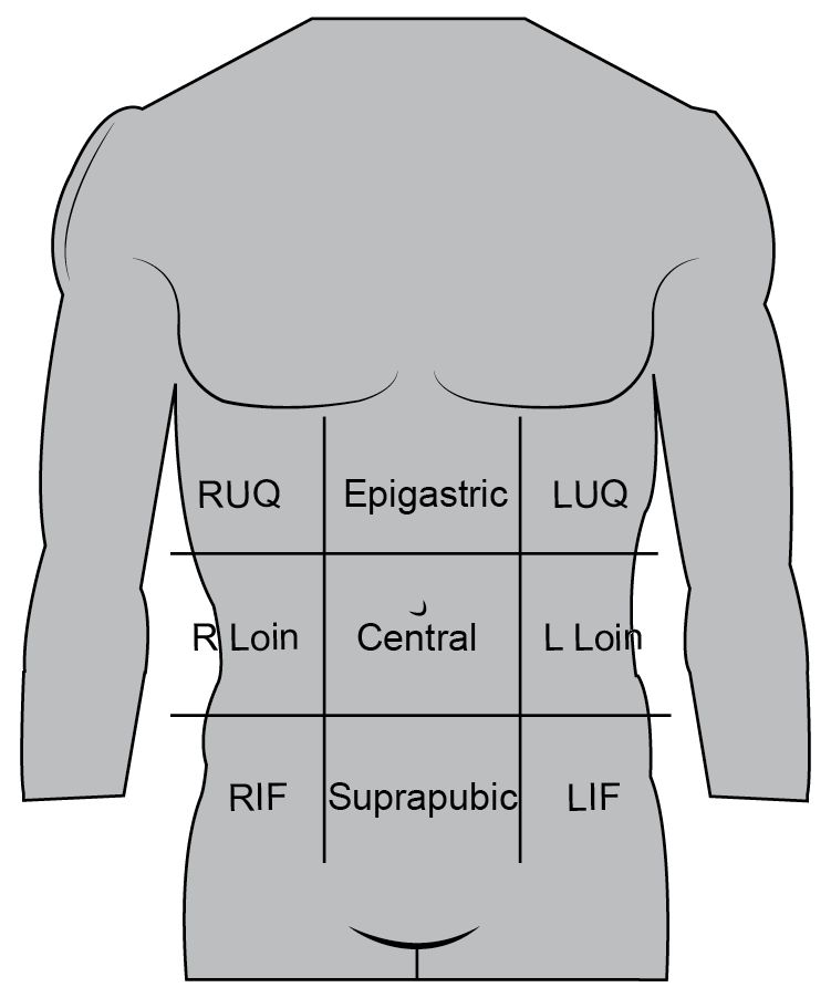On the diagram, identify the location where the client would present with acute abdominal pain for the specified diagnosis.